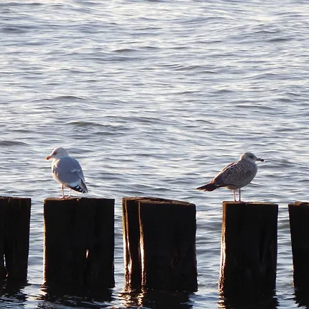 Apartment Haus Leuchtfeuer - Objekt 33839 *